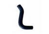 Radiator Hose:MN-115490