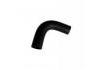 Radiator Hose:16573-BZ010