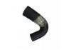 Radiator Hose:OK620-15-186