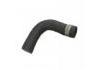 Radiator Hose:SE01-15-185B