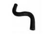 Radiator Hose:17872-M79F00