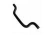 Radiator Hose:17871-M65L00