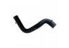 Radiator Hose:19437727