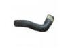 Radiator Hose:221288
