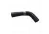 Radiator Hose:331211