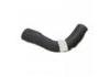 Radiator Hose:441122