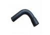 Radiator Hose:4876645
