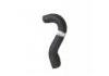 Radiator Hose:531510