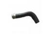 Radiator Hose:551077