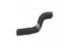 Radiator Hose:651498