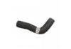 Radiator Hose:661033
