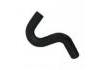 Radiator Hose:CH-NS180011