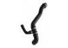 Radiator Hose:164 501 0582