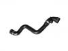 Radiator Hose:11 53 1 436 407