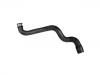 Durite de radiateur Radiator Hose:211 501 07 82