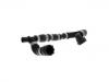 Durite de radiateur Radiator Hose:4F0 819 375 B